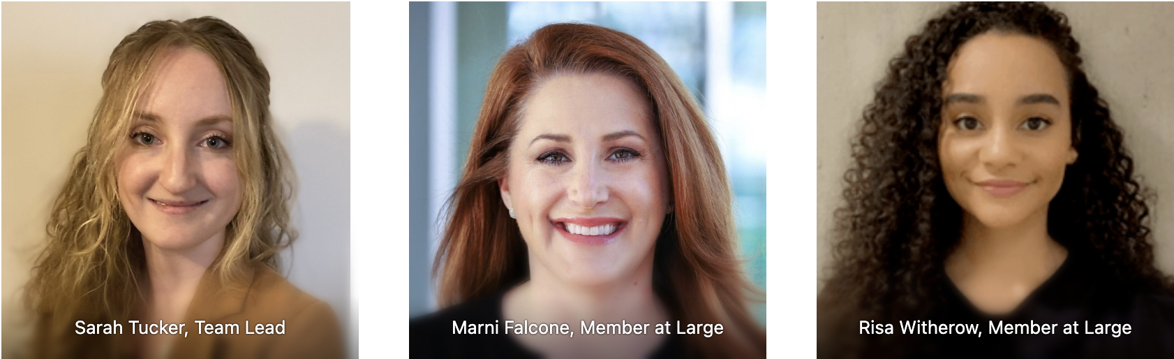 Three women from FMP's Social Media Team staring directly to camera and smiling. On the left, Team Lead, Sarah Tucker. In the middle, Member at Large, Marni Falcone, and on the Right, Member at Large, Risa Witherow. 