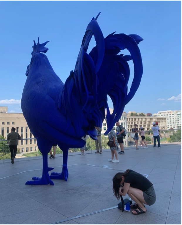A woman crouching and positioning herself into a ball on the ground behind a giant sculpture of a chicken.