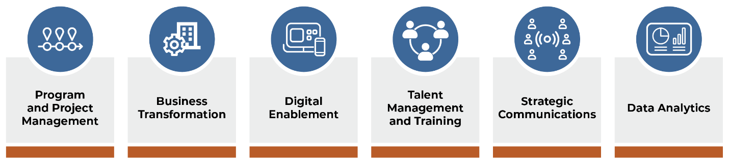 FMP capabilities: Program and Project Management, Business Transformation, Digital Enablement, Talent Management and Training, Strategic Communications, Data Analytics